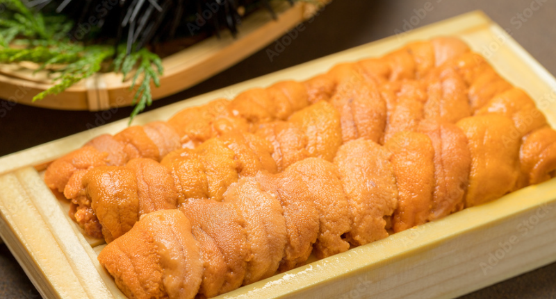 Fresh Japan sushi Uni wholesale