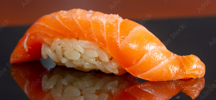 Salmon Japanese Seafood import